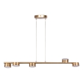 Lampadario a sospensione con filo PUNTO 5xGX53/12W/230V oro