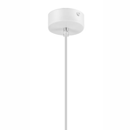 Lampadario a sospensione con filo SIMON 1xE27/60W/230V faggio - FSC certificato