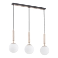 Lampadario a sospensione con filo VOLDA 3xE14/40W/230V ottone