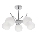 Lampadario a sospensione con supporto rigido AMOS 5xE27/40W/230V cromo lucido