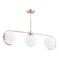 Lampadario a sospensione con supporto rigido ASTANA 3xE14/10W/230V oro