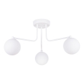 Lampadario a sospensione con supporto rigido ASTRAL 3xG9/8W/230V bianco