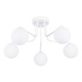 Lampadario a sospensione con supporto rigido ASTRAL 5xG9/8W/230V bianco