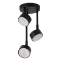 Lampadario a sospensione con supporto rigido NEMO 3xGX53/12W/230V nero