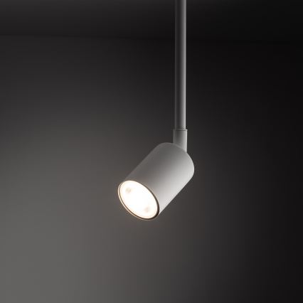 Lampadario a sospensione con supporto rigido per sistema ferroviario monofase TOP 1xGU10/10W/230V bianco