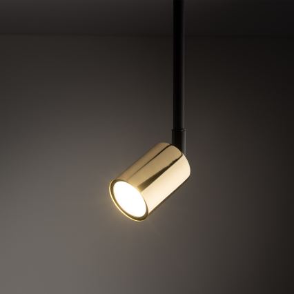 Lampadario a sospensione con supporto rigido per sistema ferroviario monofase TOP 1xGU10/10W/230V oro/nero