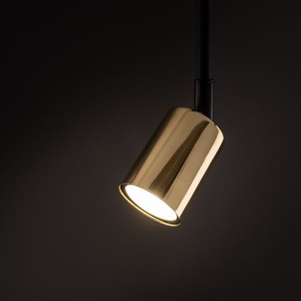 Lampadario a sospensione con supporto rigido per sistema ferroviario monofase TOP 1xGU10/10W/230V oro/nero