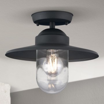 Lampadario da esterno EDWARD 1xE27/60W/230V IP44 nero