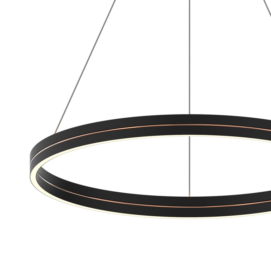 Lampadario LED a sospensione con filo GRAVITY LED/36W/230V nero