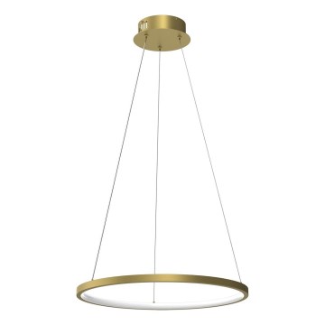 Lampadario LED a sospensione con filo HOOP LED/27W/230V diametro 50 cm 4000K oro