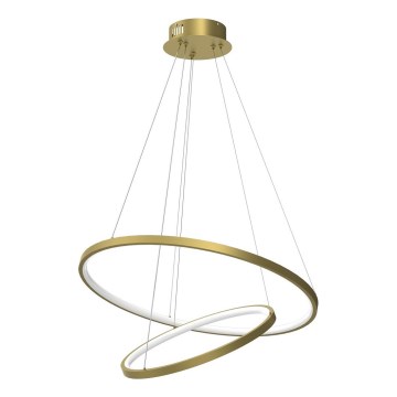 Lampadario LED a sospensione con filo HOOP LED/51W/230V diametro 60 cm 4000K oro