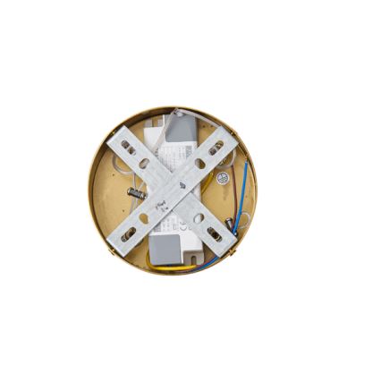 Lampadario LED a sospensione con filo LED/19W/230V 3000K