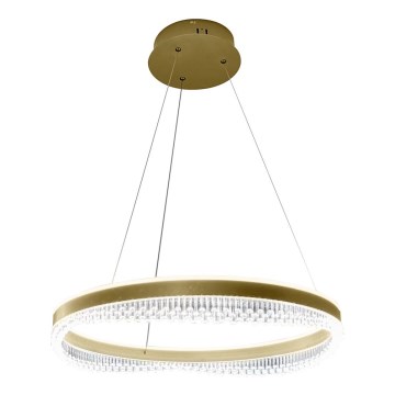 Lampadario LED a sospensione con filo LED/52W/230V diametro 60 cm oro