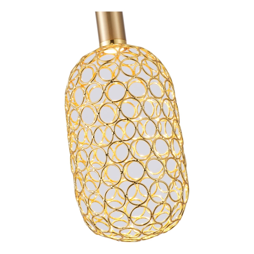 Lampadario LED a sospensione con filo LED/6,3W/230V 3000K oro diametro 13 cm