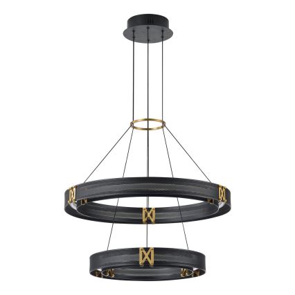 Lampadario LED a sospensione con filo LED/62W/230V 3000K 62x120 cm
