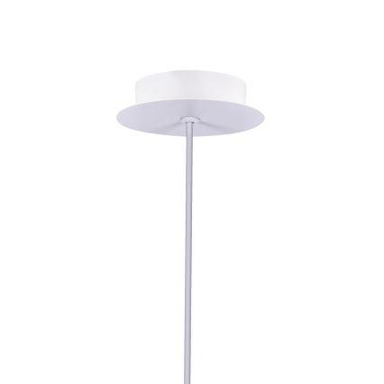 Lampadario LED a sospensione con filo MODENA LED/5W/230V