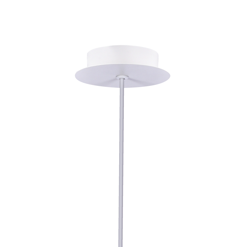 Lampadario LED a sospensione con filo MODENA LED/5W/230V