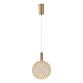 Lampadario LED a sospensione con filo PERFORATO LED/6,3W/230V 3000K oro diametro 20 cm