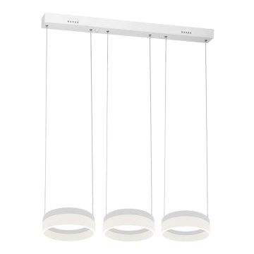 Lampadario LED a sospensione con filo RING 3xLED/12W/230V