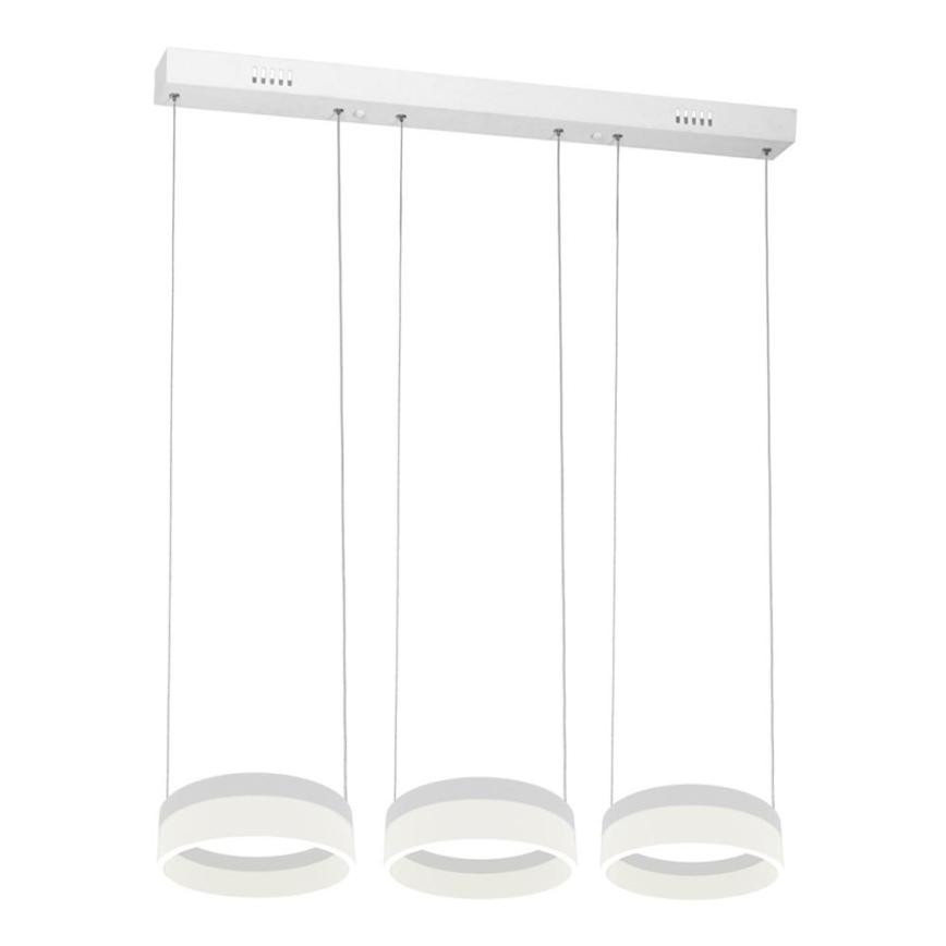 Lampadario LED a sospensione con filo RING 3xLED/12W/230V