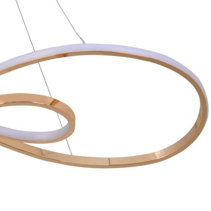 Lampadario LED a sospensione con filo ZUMBA LED/50W/230V oro