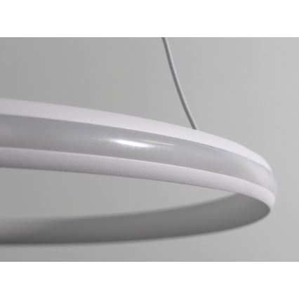 Lampadario dimmerabile a cavo LED 55W/230V 3000-6500K Ø 60 cm + telecomando