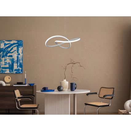 Lampadario LED dimmerabile a cavo LED/65W/230V 3000-6500K Ø 49 cm + telecomando