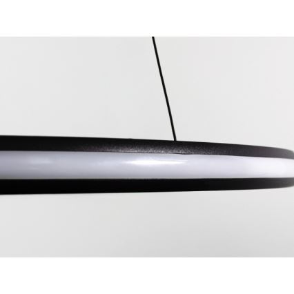 Lampadario LED dimmerabile su cavo LED/55W/230V 3000-6500K Ø 60 cm + telecomando