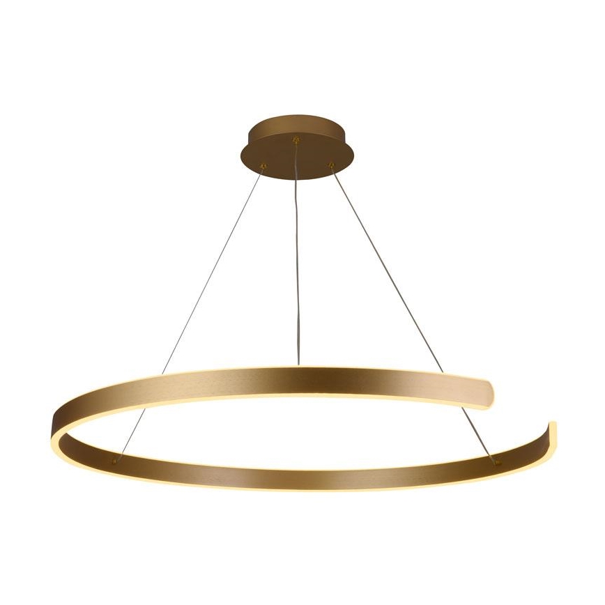 Lampadario LED Dimmerabile su cavo LED/100W/230V 3000-6500K + telecomando