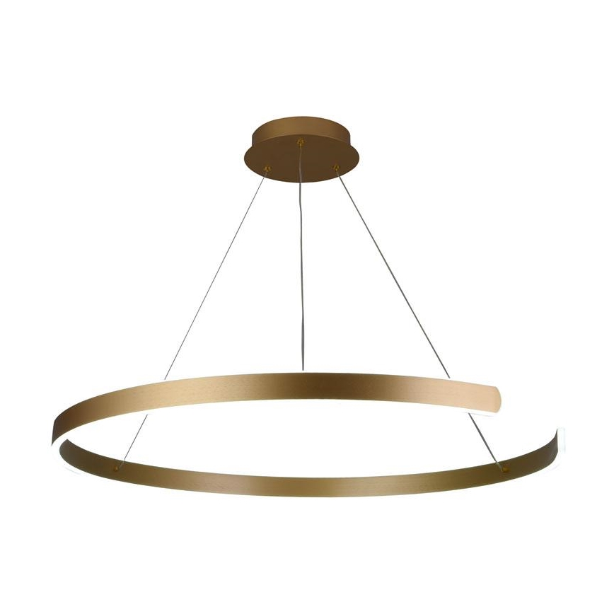 Lampadario LED Dimmerabile su cavo LED/100W/230V 3000-6500K + telecomando