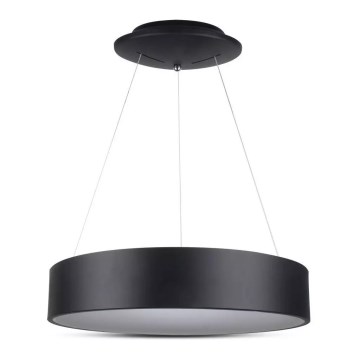 Lampadario LED dimmerabile su cavo LED/20W/230V