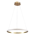 Lampadario LED sospeso su cavo DIANA LED/25W/230V 4000K Ø 50 cm dorato