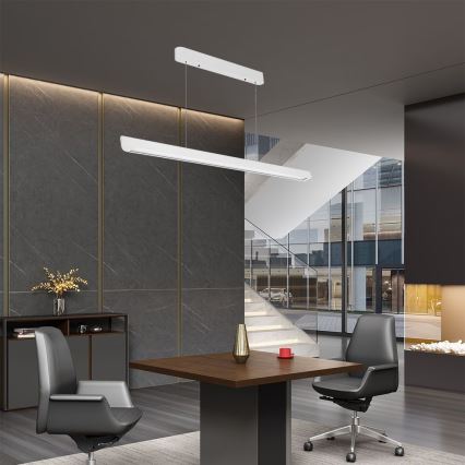 Lampadario LED su cavo LED/36W/230V 3000/4000/6400K bianco