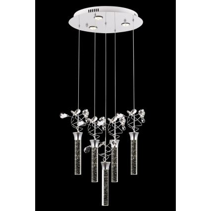 Lampadario LED su cavo PIGEON 5xLED/6W/230V 6500K cromo lucido