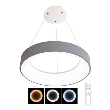 Lampadario LED su filo dimmerabile NEST LED/40W/230V 3000-6500K grigio