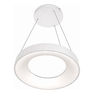 Lampadario sospeso a cavo DRAX LED/32W/230V 4000K Ø 38 cm bianco
