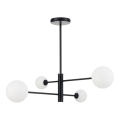 Lampadario su asta DORADO 4xG9/40W/230V nero