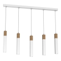 Lampadario su corda SOLO 5xGU10/MR11/40W/230V bianco