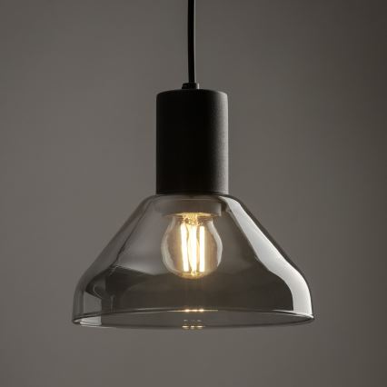 Lampadario a sospensione con filo per sistema ferroviario monofase NEO 1xE27/15W/230V nero/fumé nero