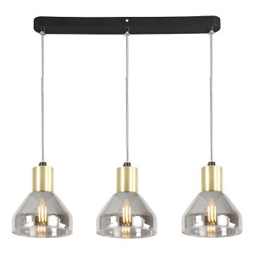 Lampadario su fune GREGORY 3xE14/40W/230V