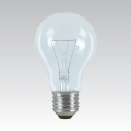 Lampadina industriale E27/25W/24V