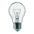 Lampadina industriale E27/60W/230V 2200K