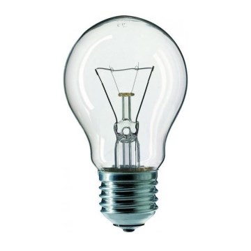Lampadina industriale E27/60W/230V 2200K