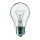Lampadina industriale E27/60W/230V 2200K