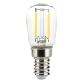 Lampadina LED a filamento ST26, attacco E14, 2W, 230V, 4000K
