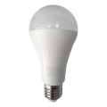 Lampadina LED A65 E27/18W/230V 4200K
