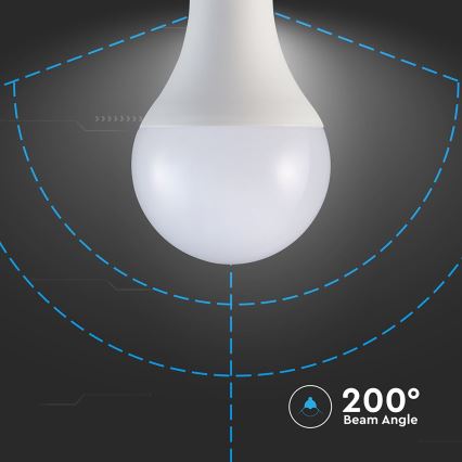 Lampadina LED A80 E27/20W/230V 3000K