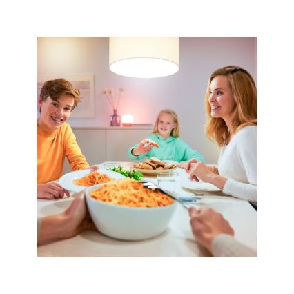 Lampadina LED dimmerabile A60 E27/8W/230V 2700K CRI 90 Wi-Fi - WiZ