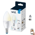 Lampadina LED Dimmerabile C37 E14/4,9W/230V 2700-6500K CRI 90 Wi-Fi - WiZ