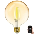 Lampadina LED dimmerabile FILAMENT MESH Smart G125 E27/6W/230V 2700-6500K - Aigostar